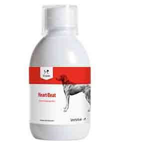  VetVital Vicano Heart Beat Für Hunde 250 Ml Flasche Für Hunde