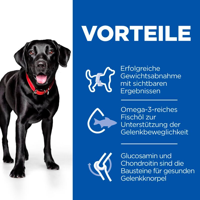  Hills Science Plan Canine Perfect Weight + Active Mobility Adult Large Breed Trockenfutter 12 Kg Huhn Trockenfutter