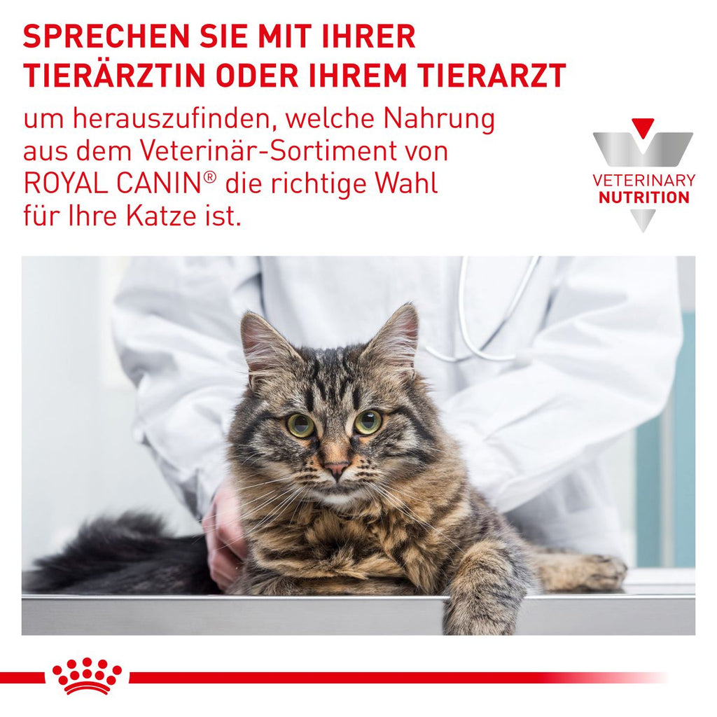  Royal Canin Urinary S/O Moderate Calorie Katze Frischebeutel 12 X 85 G Frischebeutel Für Katzen