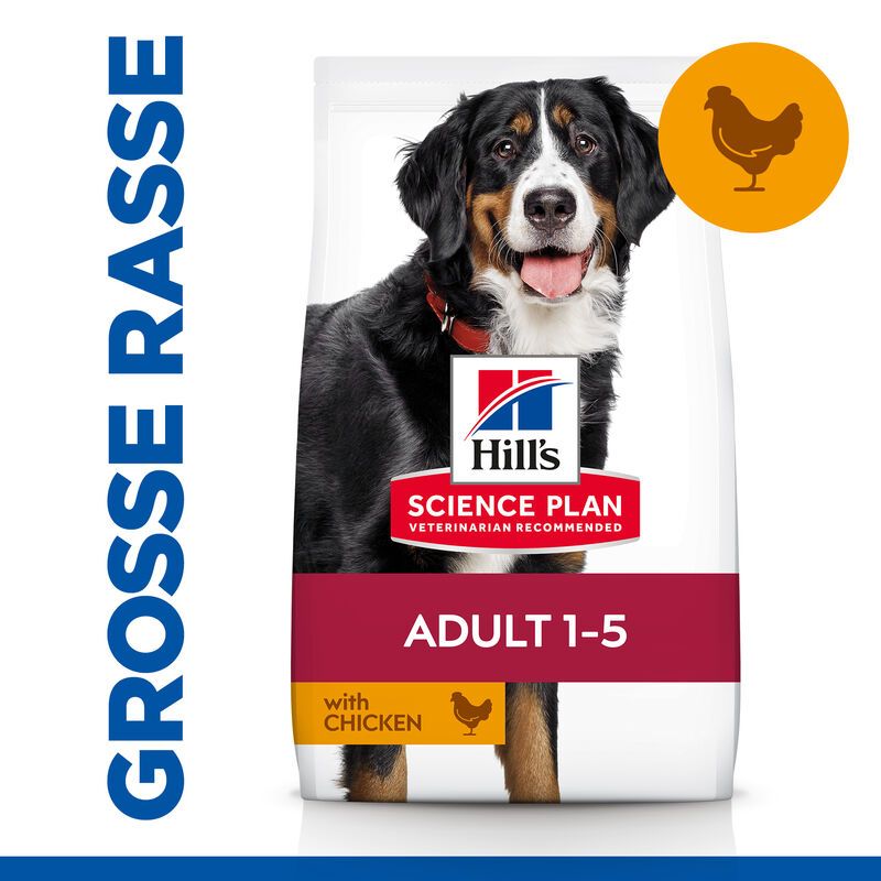  Hills Science Plan Canine Adult Large Breed Hund Trockenfutter 14 Kg Trockenfutter Mit Huhn
