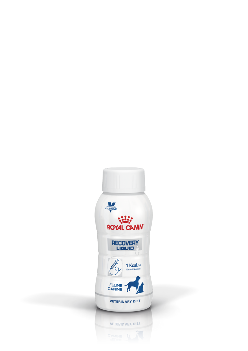  Royal Canin Liquid Recovery 1x 3x200g LIQUID Recovery Hund Und Katze
