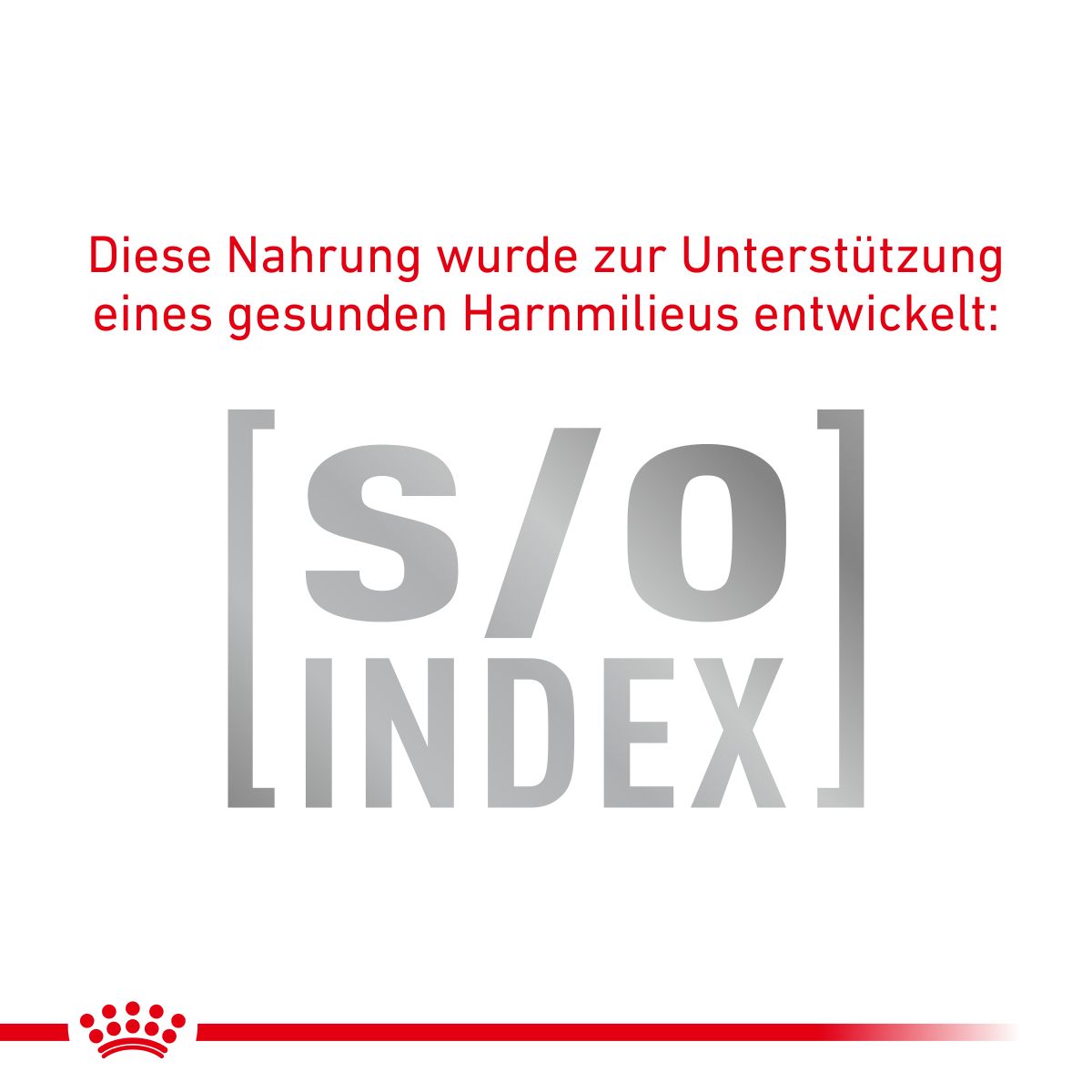  Royal Canin Skin & Coat Frischebeutel Für Katzen 12 X 85 G Frischebeutel Für Katzen