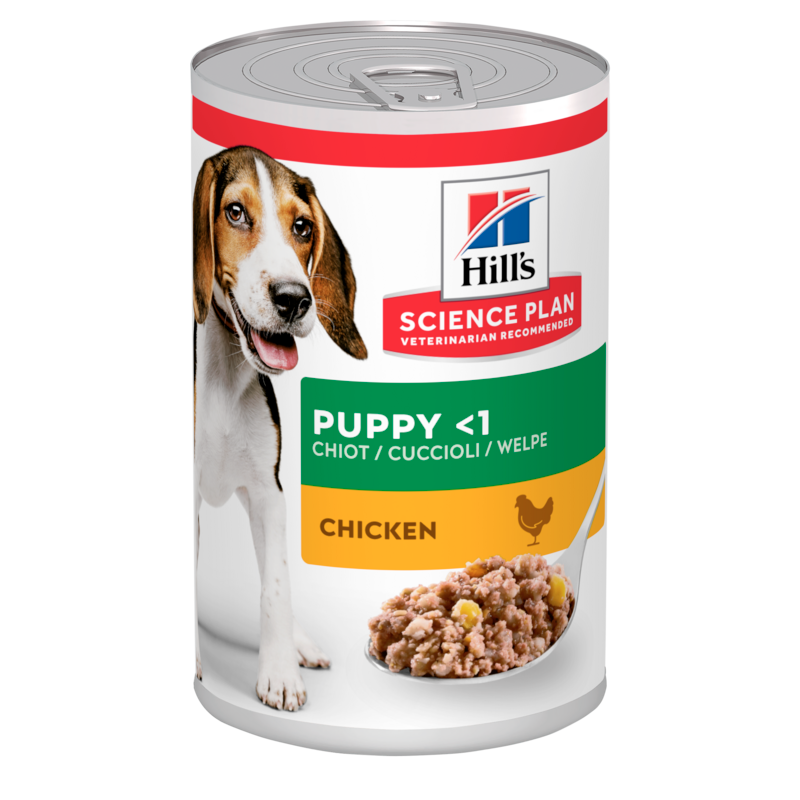  Hills Science Plan Canine Hund Puppy Huhn Dosenfutter 12 X 370 G Dosenfutter Mit Huhn