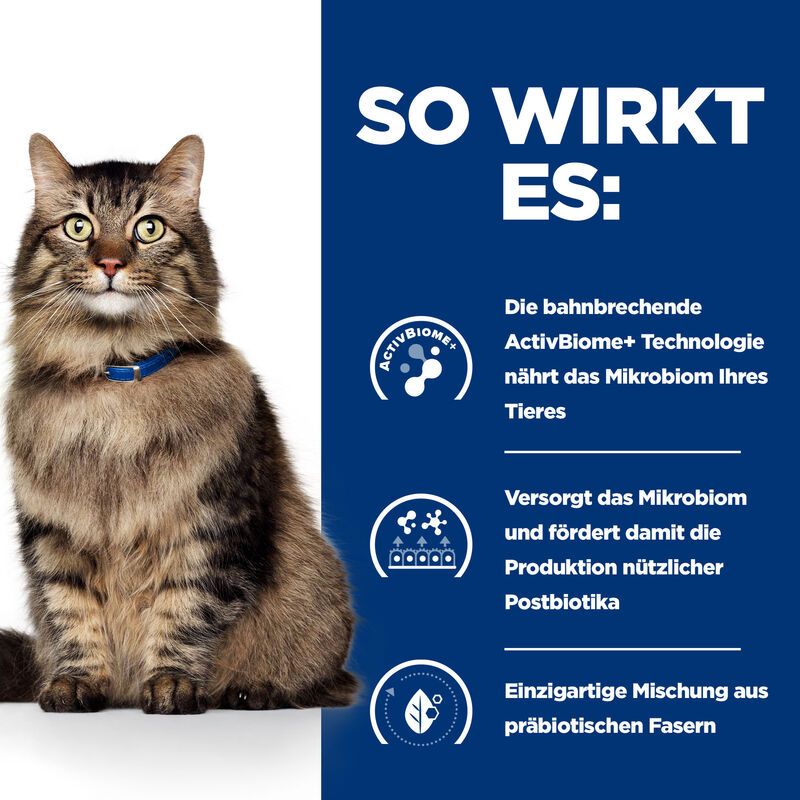  Hills Prescription Diet Feline Gastrointestinal Biome Ragout In Dosen Für Katzen 24 X 82 G Ragout In Dosen Für Katzen