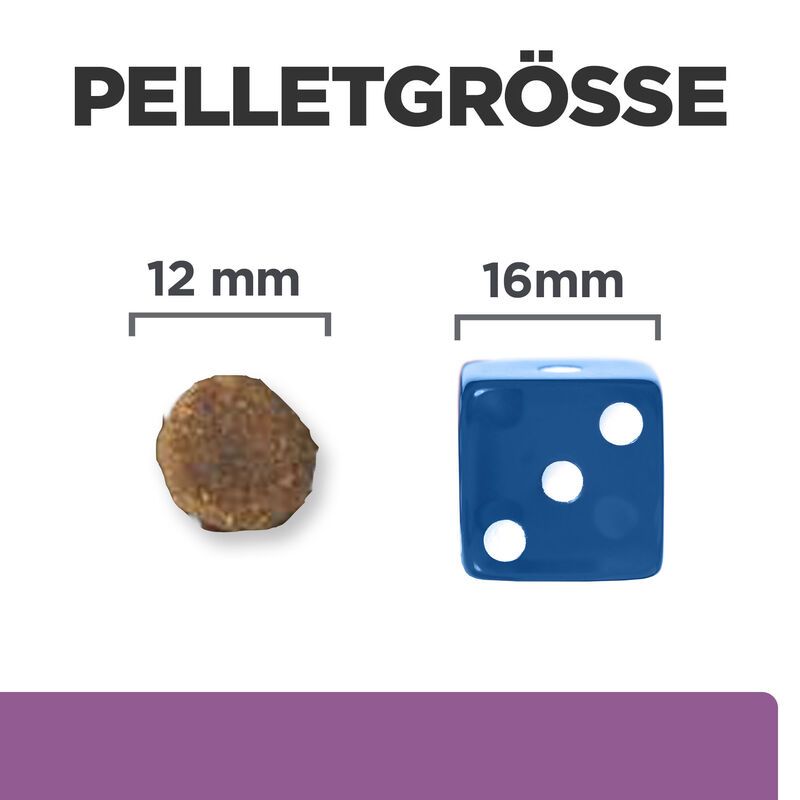  Hills B/D Trockenfutter Für Hunde 12 Kg Trockenfutter Für Hunde