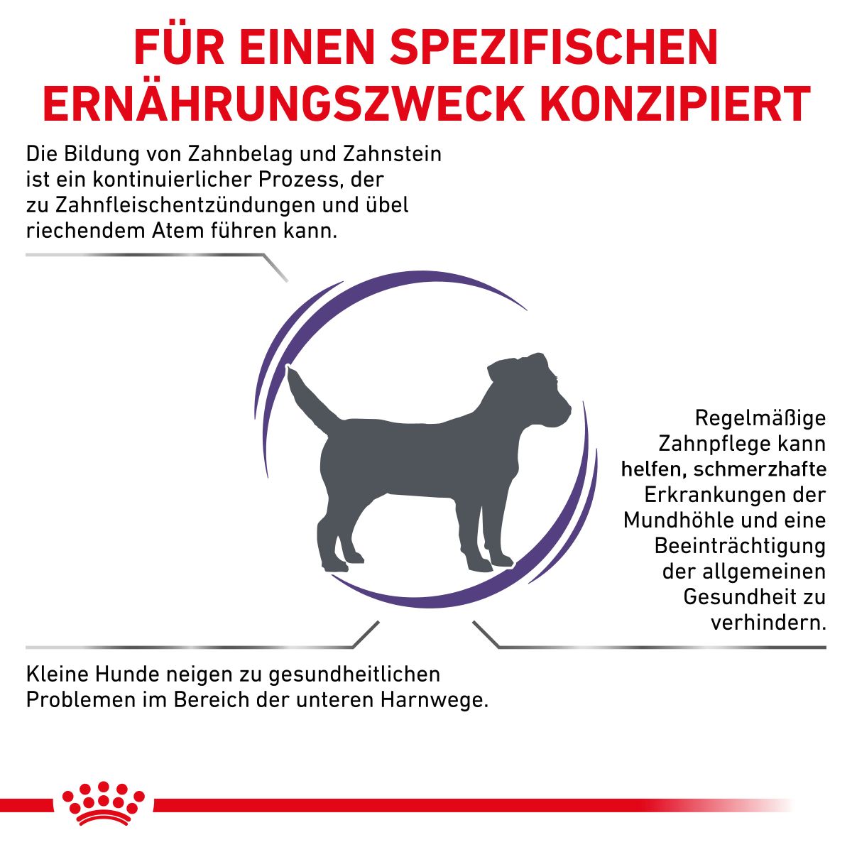  Royal Canin Dental Small Dogs Trockenfutter Für Hunde 1,5 Kg Trockenfutter Für Hunde