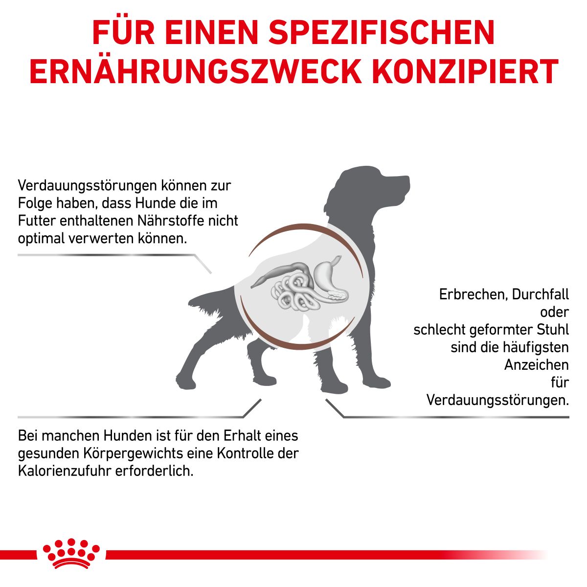  Royal Canin Gastrointestinal Moderate Calorie Hund Trockenfutter 2 Kg Gastro Intestinal Moderate Calorie