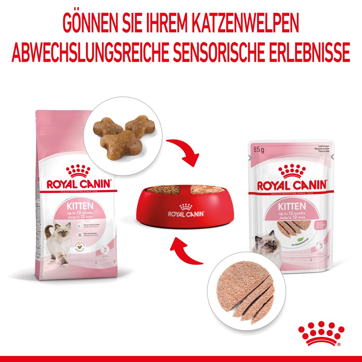  Royal Canin Kitten Frischebeutel Mousse 12 X 85 G Mousse Frischebeutel