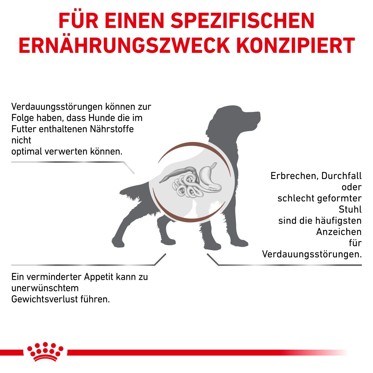  Royal Canin Gastrointestinal Trockenfutter Für Hunde 2 Kg Trockenfutter Für Hunde