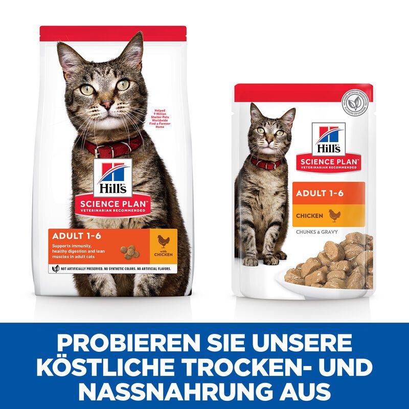  Hills Science Plan Feline Adult Frischebeutel Für Katzen 12 X 85 G Huhn Frischebeutel