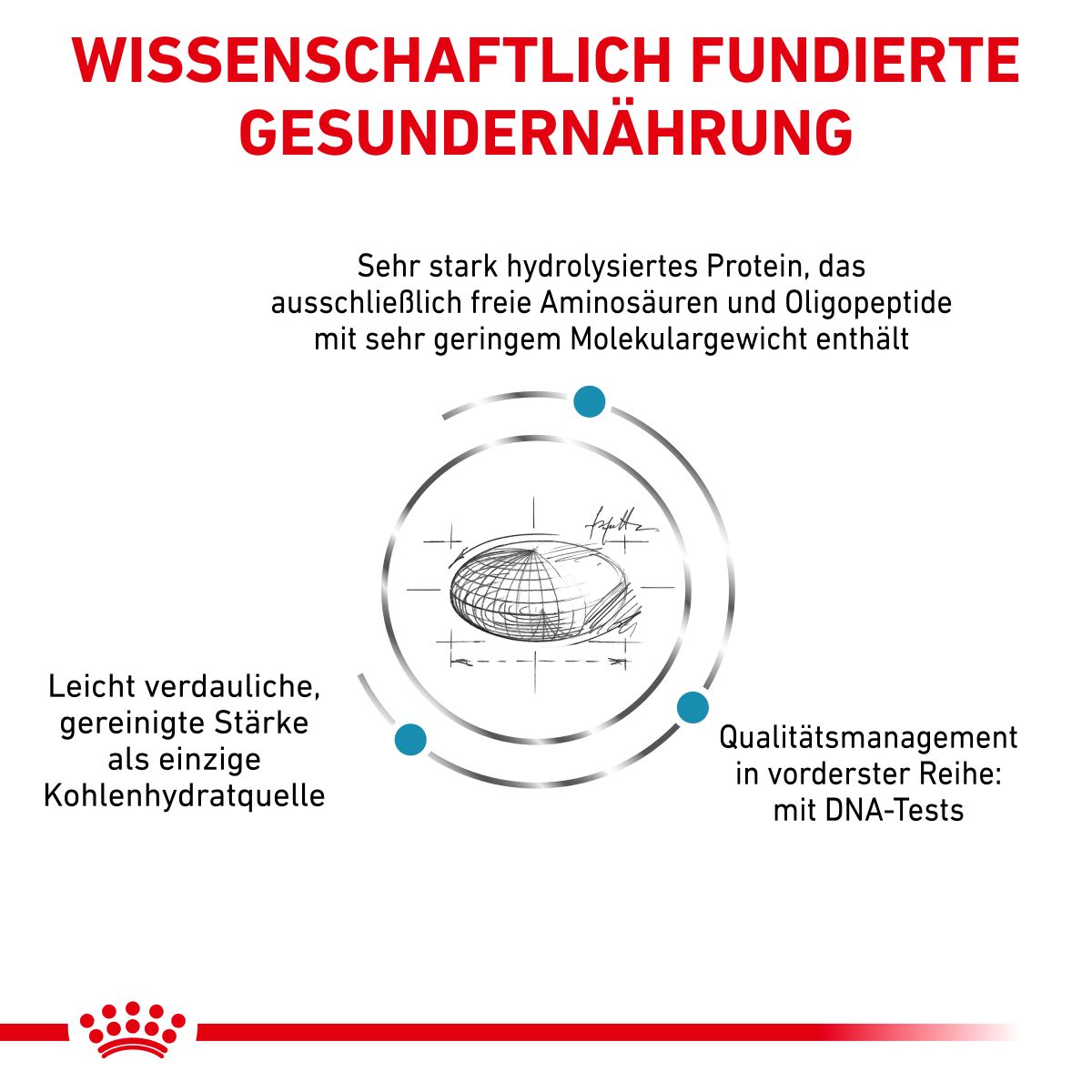  Royal Canin Anallergenic Small Dogs Trockenfutter Für Hunde 1,5 Kg Trockenfutter Für Hunde