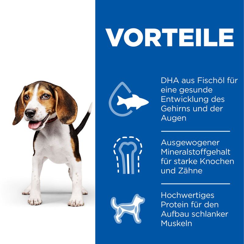  Hills Science Plan Canine Hund Puppy Huhn Dosenfutter 12 X 370 G Dosenfutter Mit Huhn