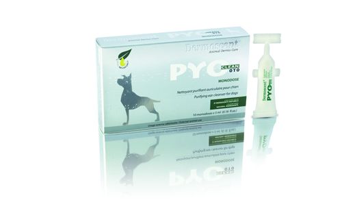  Selectavet Dermoscent PYOclean Oto Für Hunde 10 X 5 Ml Dermoscent PYOclean Oto
