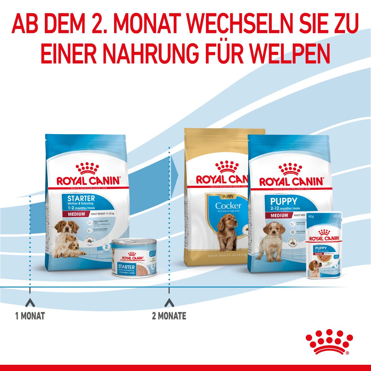  Royal Canin Medium Starter Trockenfutter 15 Kg Trockenfutter Für Hunde