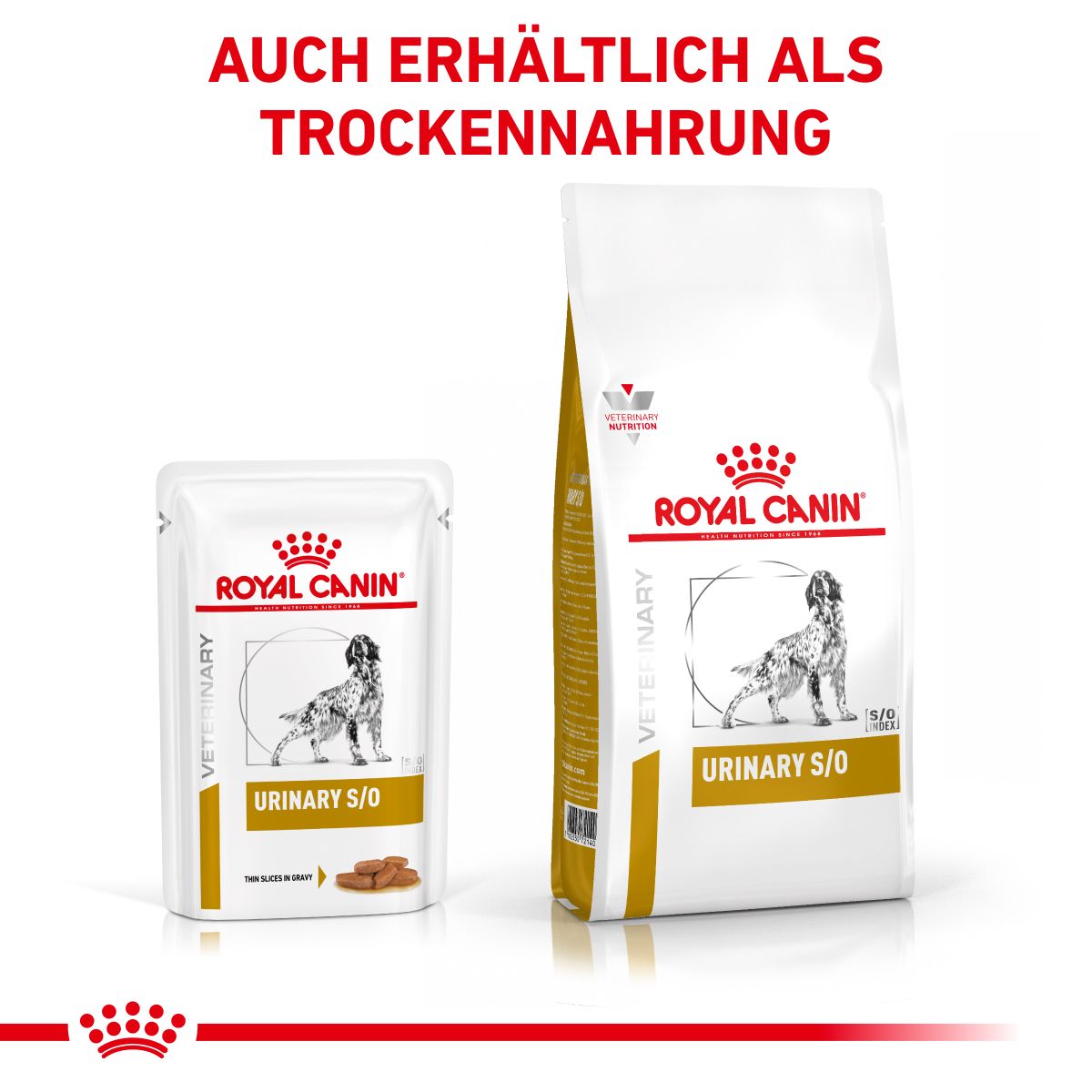 Royal Canin Urinary S/O Hund Frischebeutel Nassfutter 12 X 100 G Frischebeutel Für Hunde