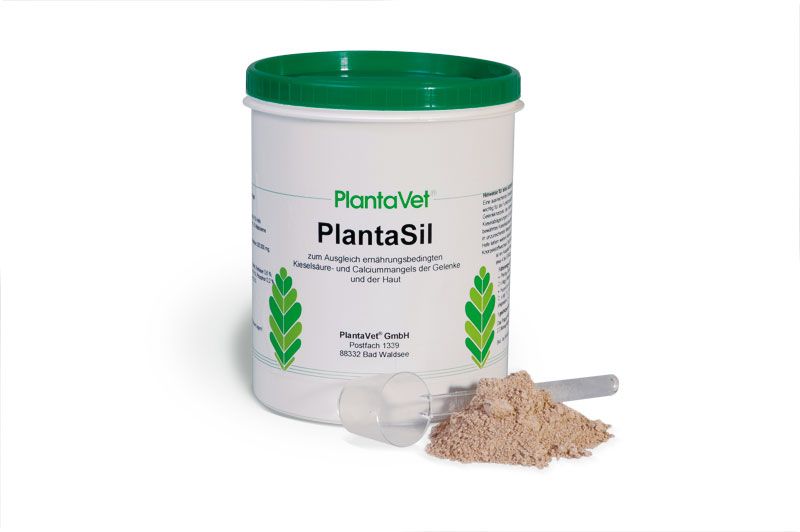  PlantaVet PlantaSil Hund Pferd Ziervögel 1 Kg Pulver Dose