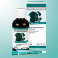  Alfavet Umijo Immun Dog Hund 50 Ml Umijo Immun Dog