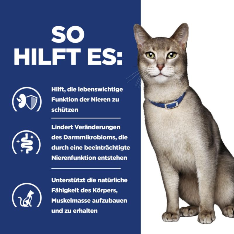  Hills K/d Katze Dosenfutter Bei Nierenerkrankungen 24 X 156 G Feingehackt - Huhn Dosen
