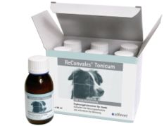  Alfavet ReConvales Tonicum Hund 6 X 90 Ml ReConvales Tonicum Hund