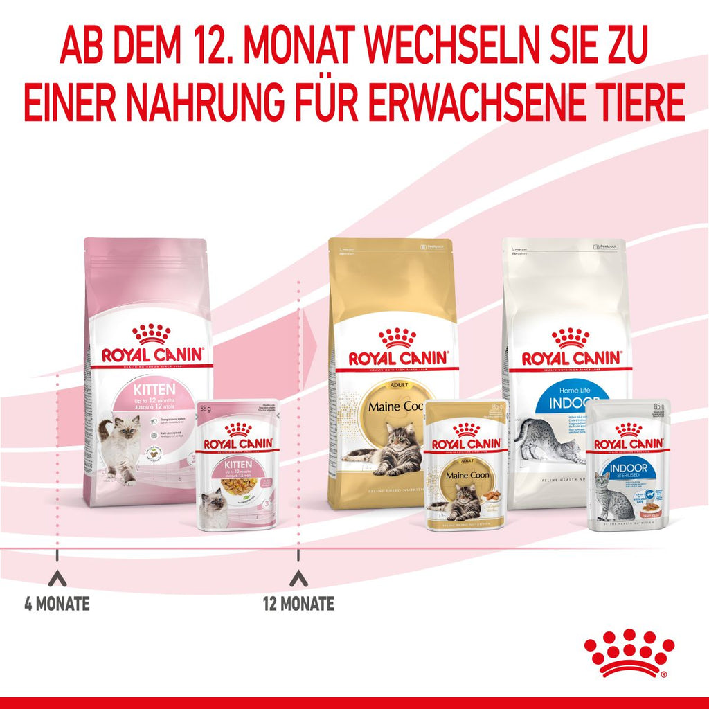  Royal Canin Kitten Frischebeutel Mit Gelee 12 X 85 G In Gelee Frischebeutel