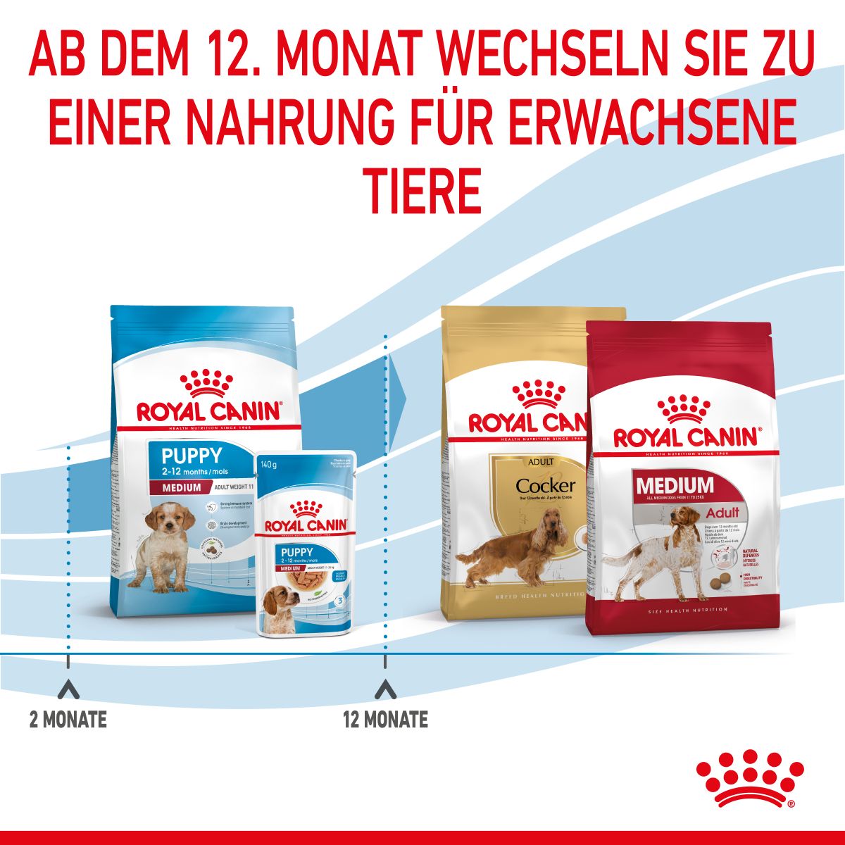  Royal Canin Medium Puppy Für Welpen Mittelgroßer Hunderassen 4 Kg Trockenfutter