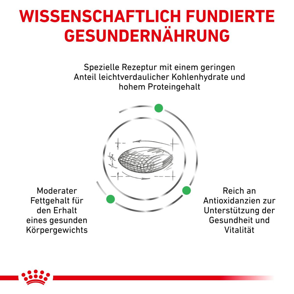  Royal Canin Diabetic Trockenfutter Für Katzen 1,5 Kg Trockenfutter Für Katzen