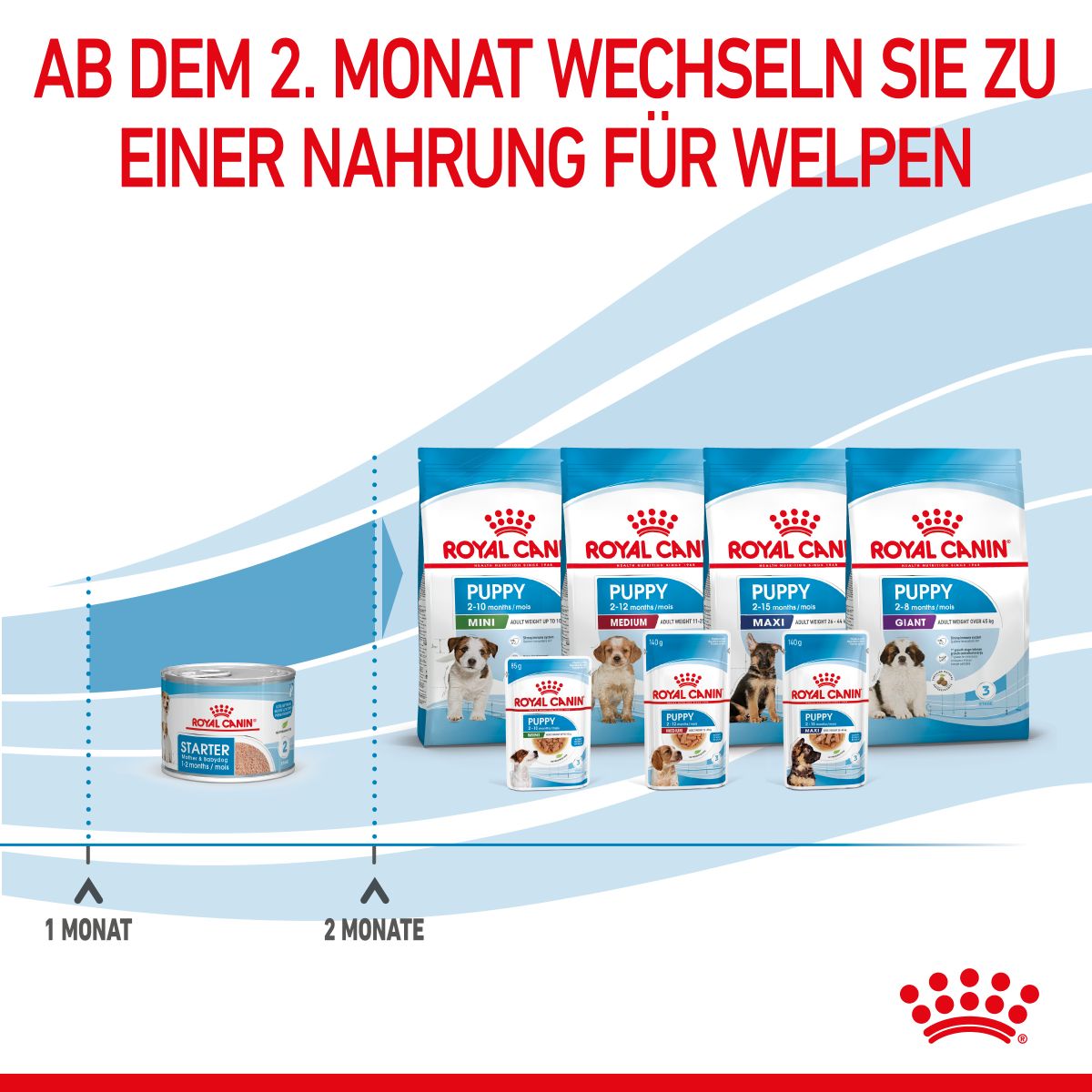  Royal Canin Starter Ultra Soft Mousse Für Welpen 12 X 195 G