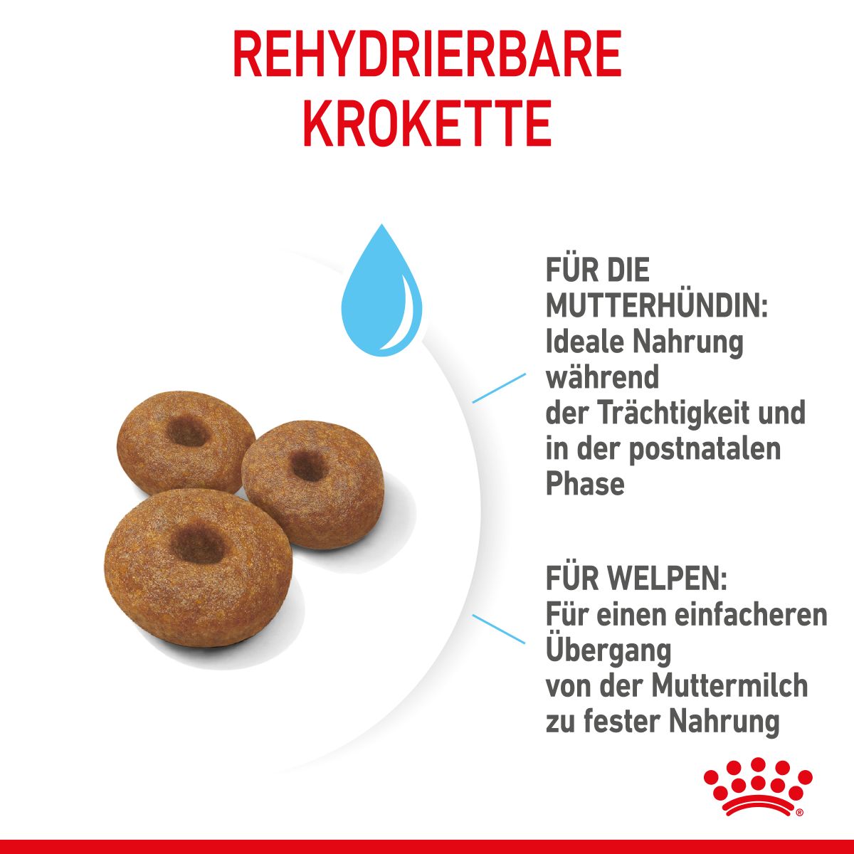  Royal Canin Maxi Starter Trockenfutter 15 Kg Trockenfutter Für Hunde