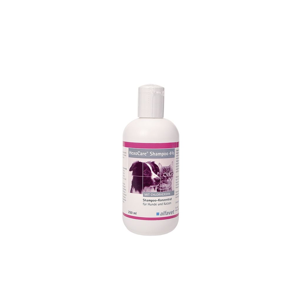  Alfavet HexoCare Shampoo 4% 250 Ml Flasche
