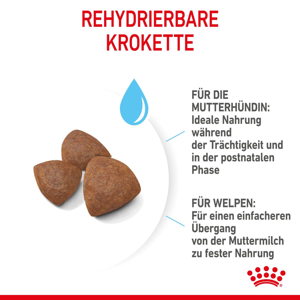  Royal Canin Medium Starter Trockenfutter 15 Kg Trockenfutter Für Hunde