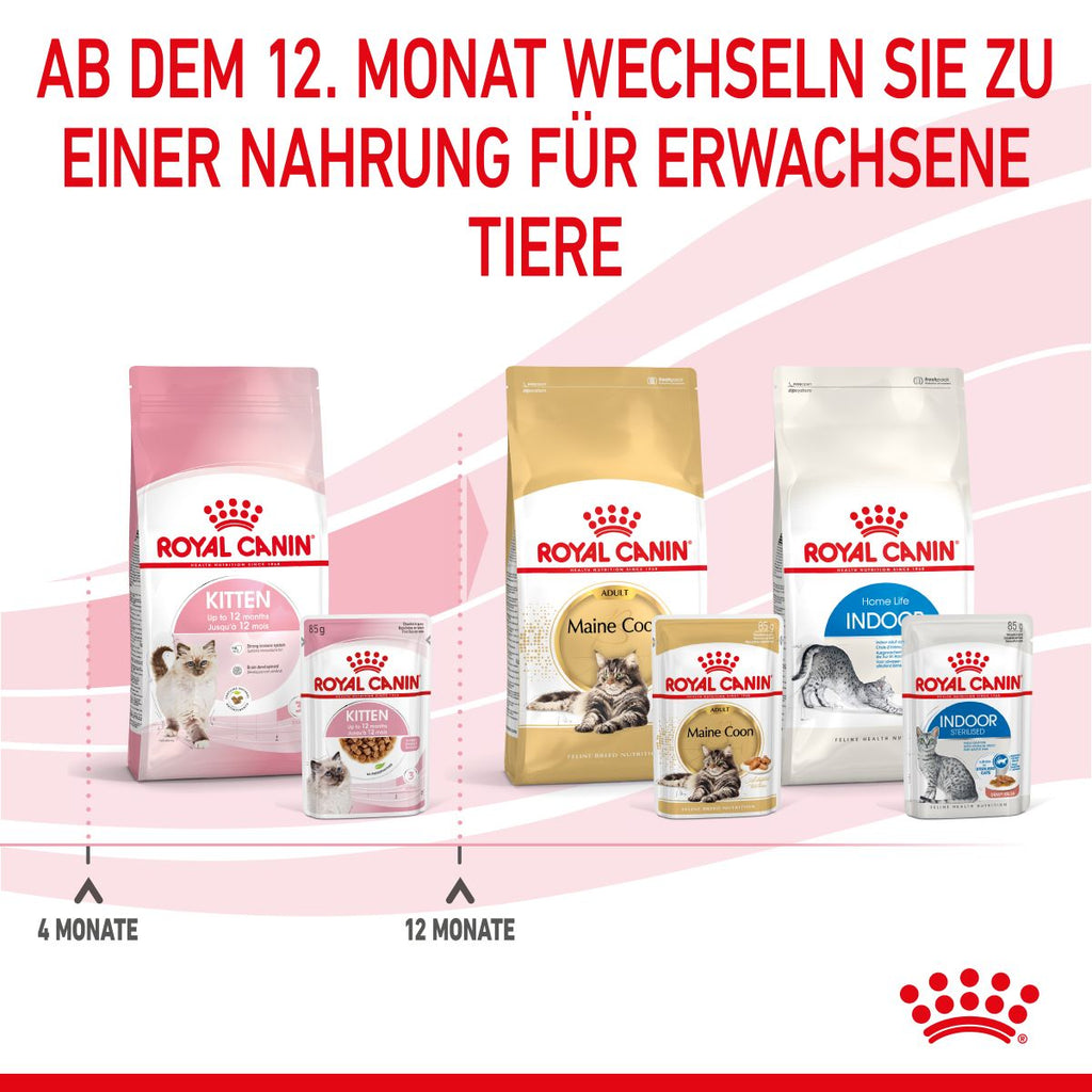  Royal Canin Kitten Second Age Für Kätzchen Bis Zum 12. Monat 12 X 85 G In Soße Frischebeutel