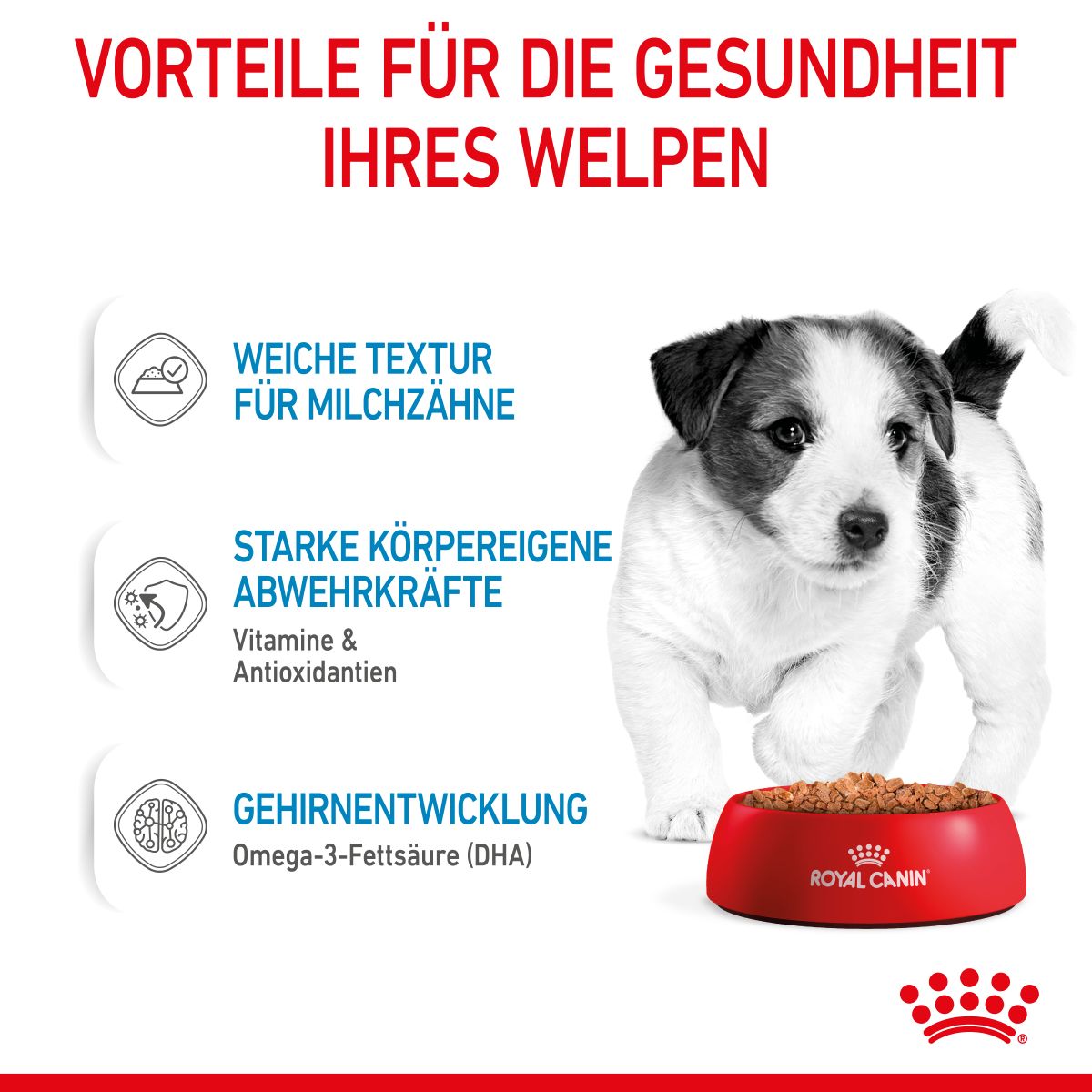  Royal Canin Mini Puppy Frischebeutel 12 X 85 G Frischebeutel Für Hunde