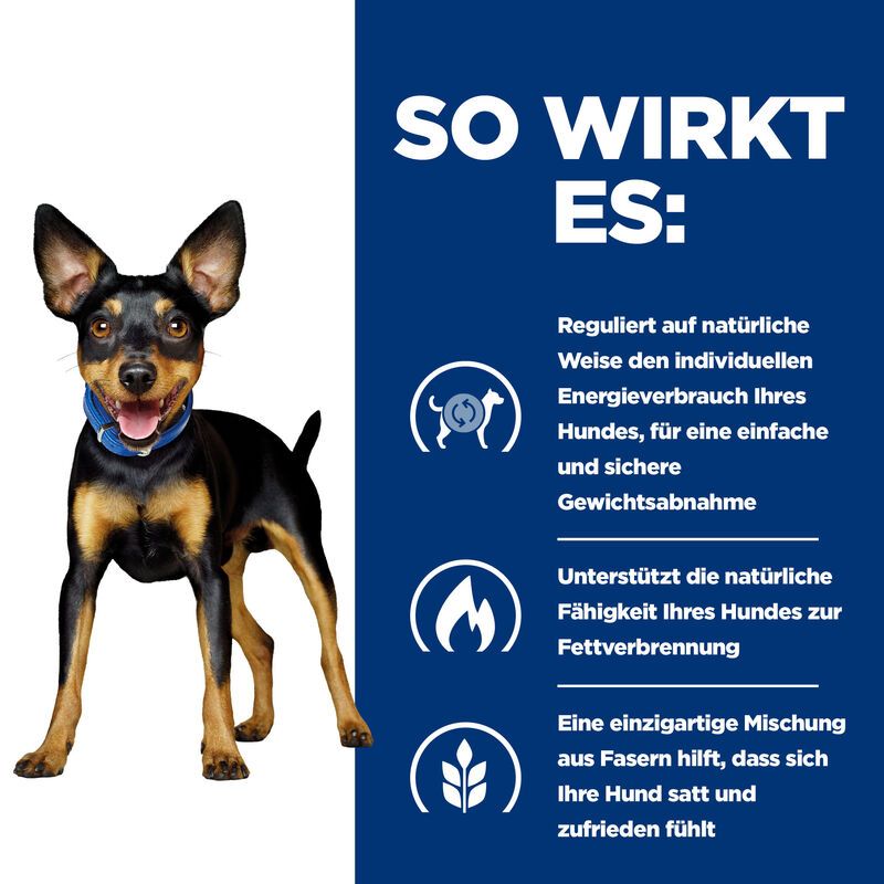  Hills Canine Metabolic Mini Ragout In Dosen Für Hunde 24 X 156g Ragout In Dosen