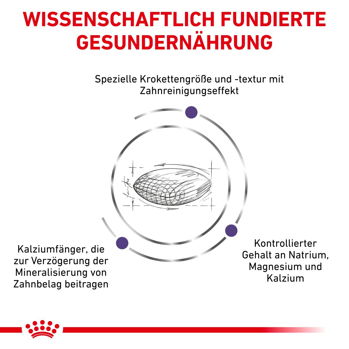  Royal Canin Dental Small Dogs Trockenfutter Für Hunde 1,5 Kg Trockenfutter Für Hunde