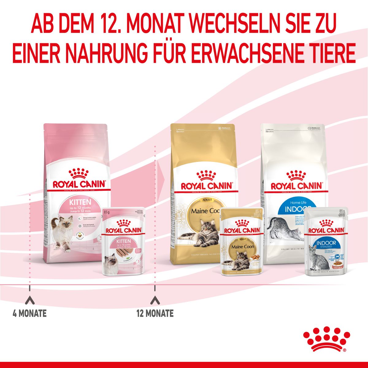  Royal Canin Kitten Frischebeutel Mousse 12 X 85 G Mousse Frischebeutel