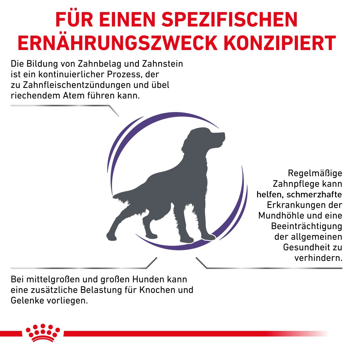  Royal Canin Dental Medium & Large Dogs Trockenfutter Für Hunde 6 Kg Trockenfutter Für Hunde