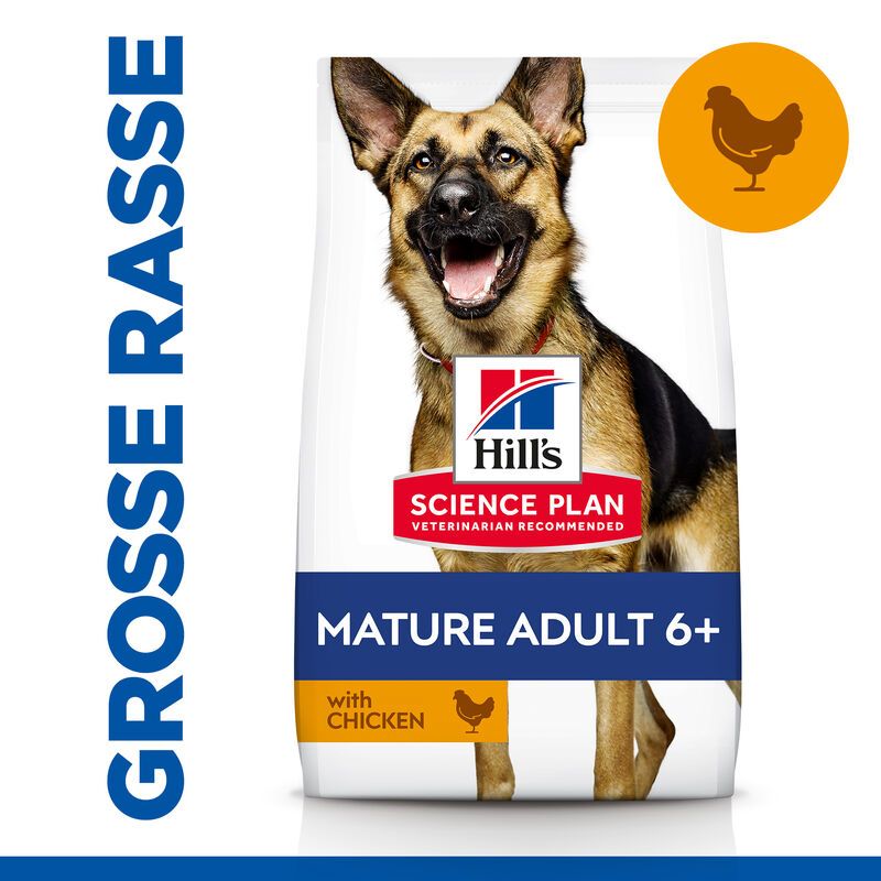  Hills Science Plan Canine Mature Adult 6+ Large Breed Hund Trockenfutter 14 Kg Trockenfutter Mit Huhn