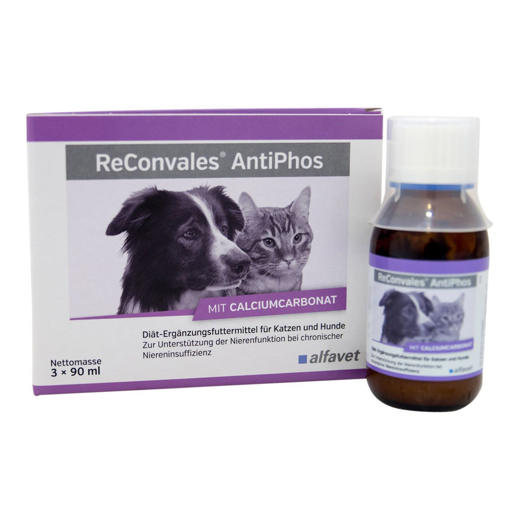  Alfavet ReConvales AntiPhos 3 X 90 Ml AntiPhos
