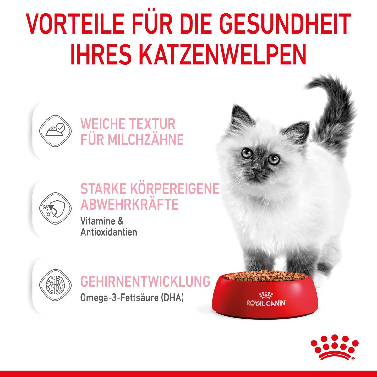  Royal Canin Kitten Second Age Für Kätzchen Bis Zum 12. Monat 12 X 85 G In Soße Frischebeutel