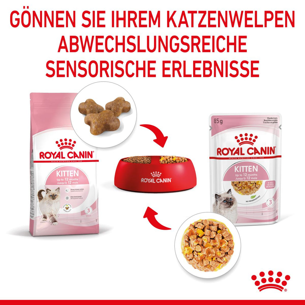  Royal Canin Kitten Frischebeutel Mit Gelee 12 X 85 G In Gelee Frischebeutel