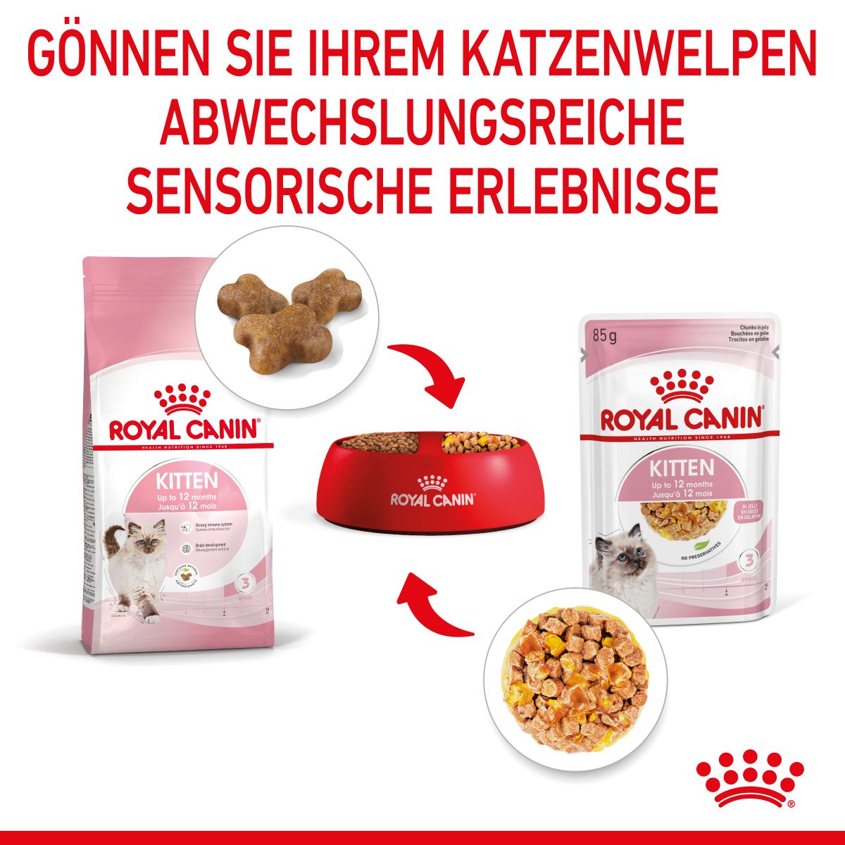  Royal Canin Kitten Frischebeutel Mit Gelee 12 X 85 G In Gelee Frischebeutel