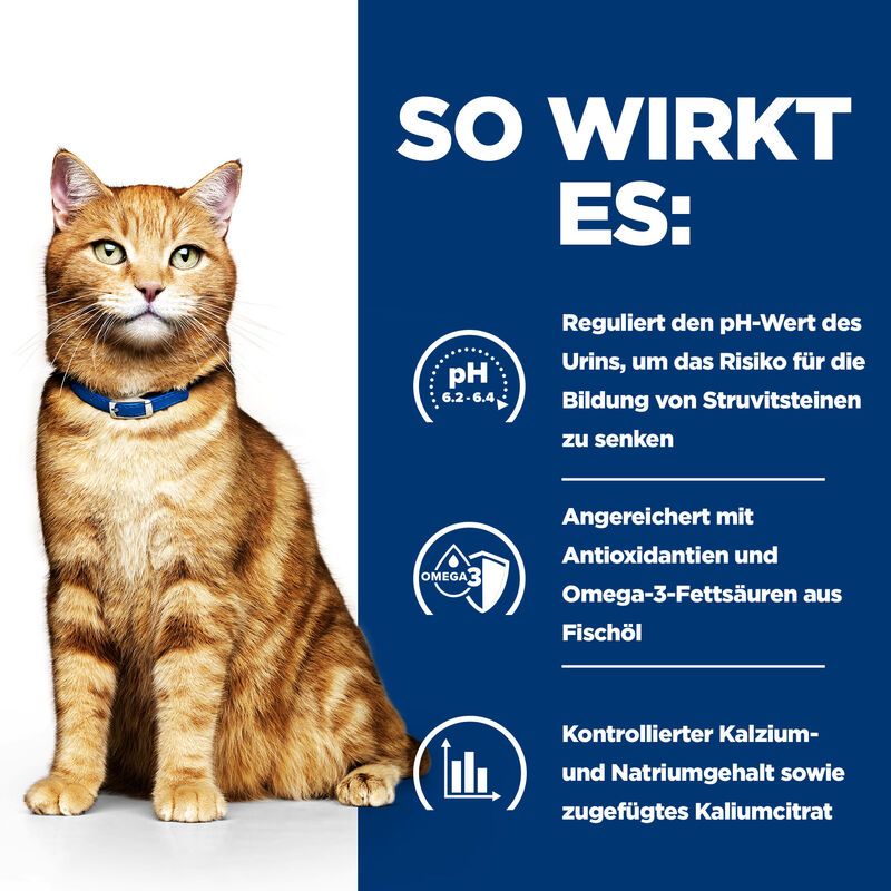  Hills C/d Multicare Feline Dosenfutter Für Katzen 24 X 156 G Feingehackt Dosenfutter Für Katzen