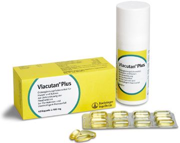  Boehringer Ingelheim Viacutan Plus Kapseln Für Hund + Katze 40 Kapseln Viacutan Plus