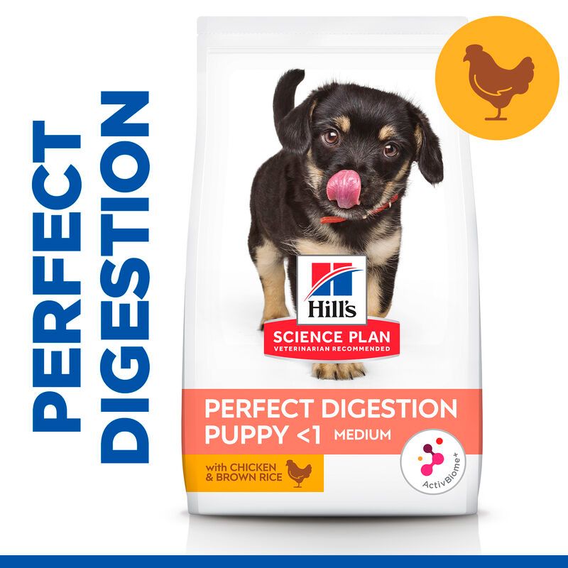  Hills Science Plan Canine Perfect Digestion Puppy Medium Trockenfutter 14 Kg Huhn & Reis Trockenfutter Für Hunde