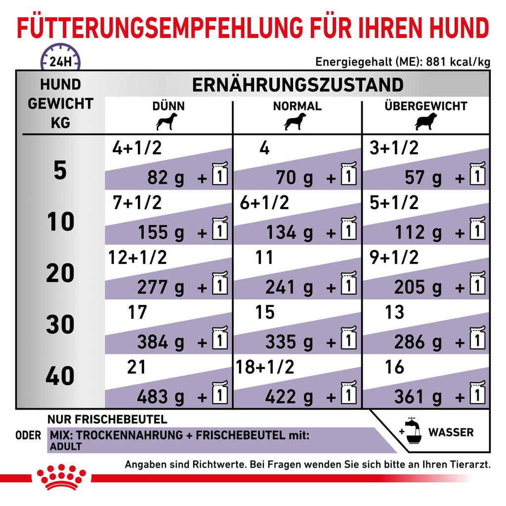 Royal Canin Dog Adult Frischebeutel Für Hunde 12 X 100 G Frischebeutel Für Hunde